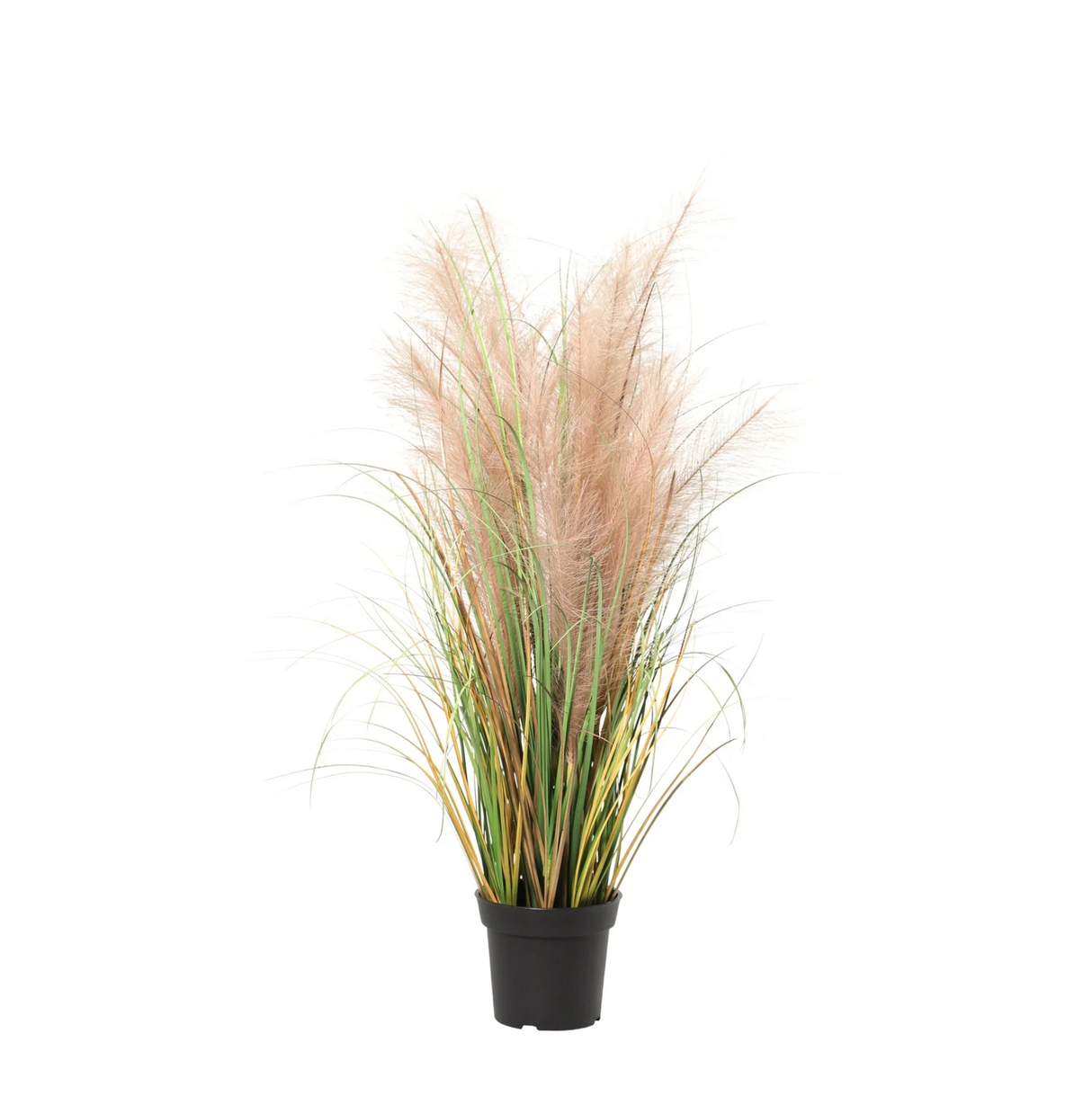 Roseau Commun plante artificielle