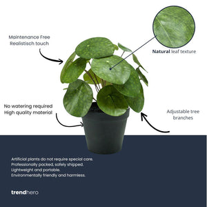 Pilea plante artificielle