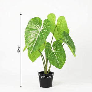 Philodendron plante artificielle