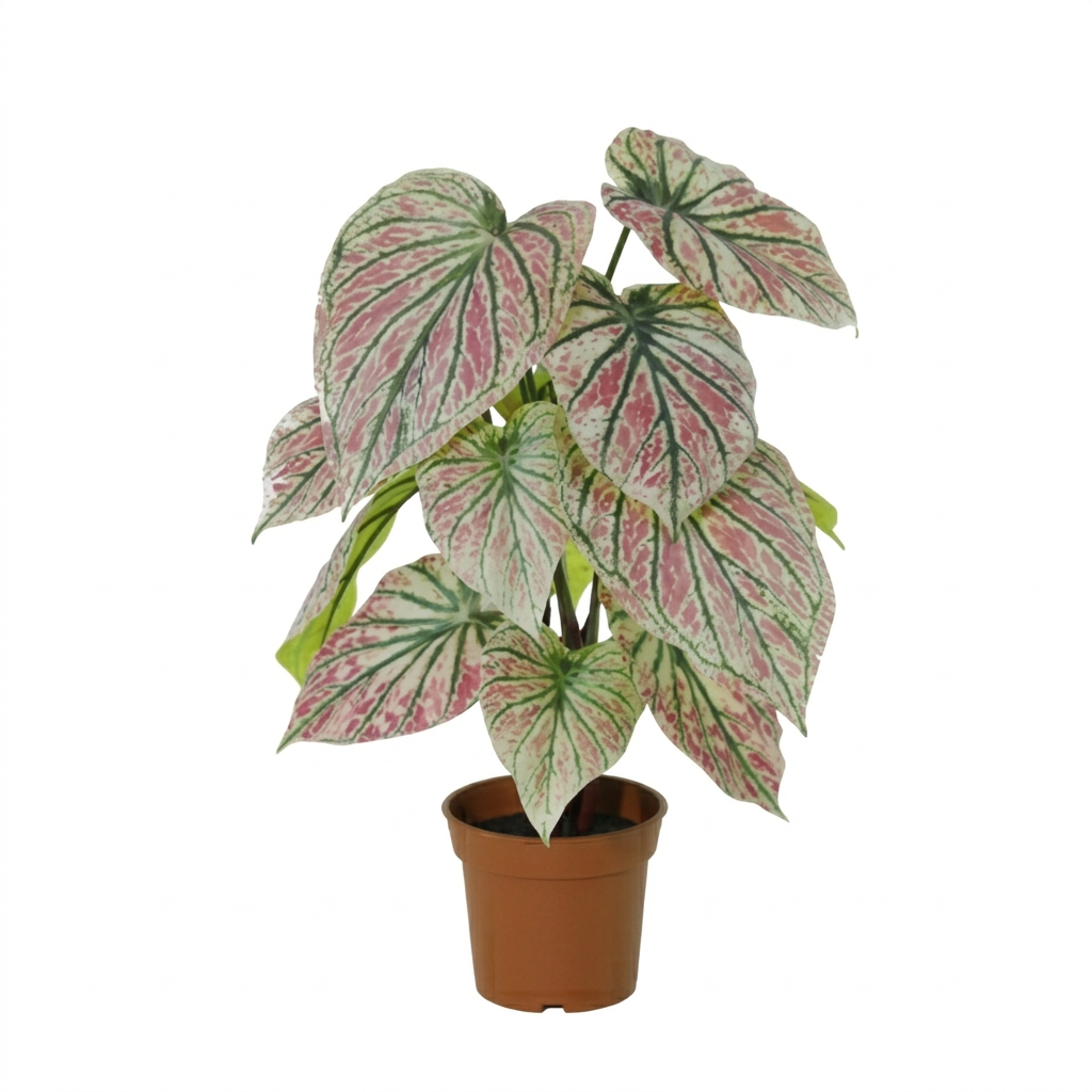 Caladium vert / rose plante artificielle
