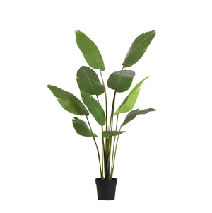 Strelitizia Nicolai plante artificielle