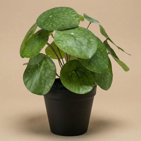Pilea plante artificielle h25cm