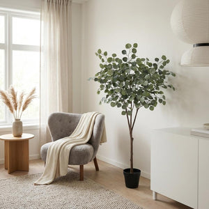 Eucalyptus plante artificielle