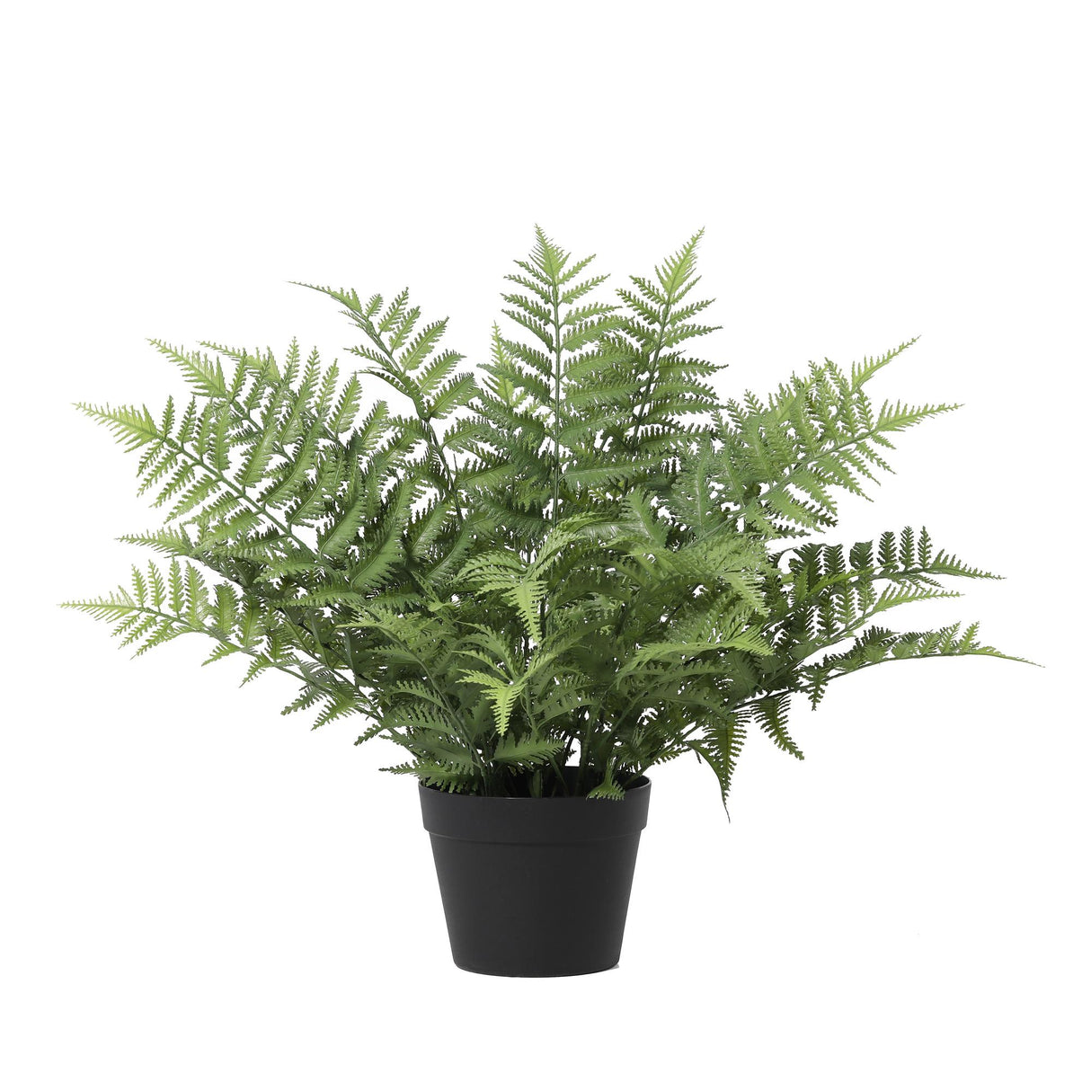 Nephrolepis Exaltata plante artificielle