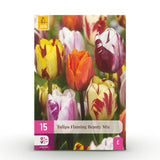 Tulipe en mélange Flaming Beauty - calibre 11/12