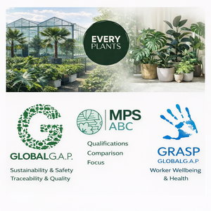 Graminée plante artificielle