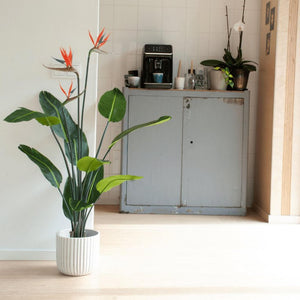 Oiseau du Paradis en Pot plante artificielle