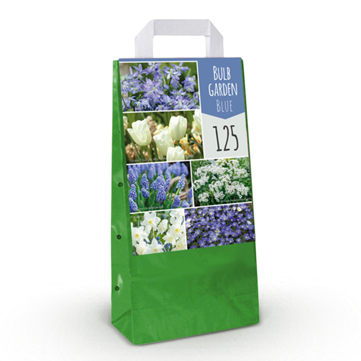 Jardin de bulbes bleus en mélange - calibre 10/12