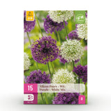 Ail d'ornement en mélange violet et blanc - calibre 10/12