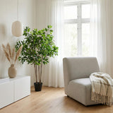 Ficus Benjamina plante artificielle