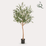 Olivier dinterieur plante artificielle