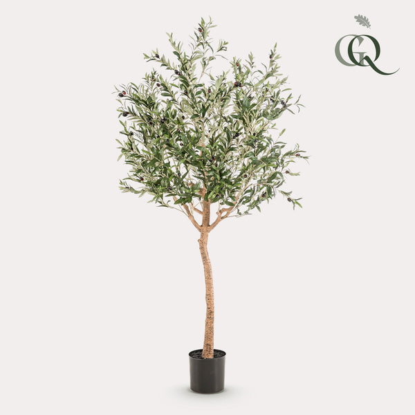Olivier dinterieur plante artificielle
